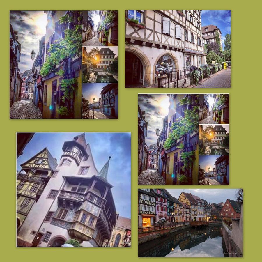 N¨°1 Schongauer Gite De Charme Centre Touristique 科尔马 外观 照片