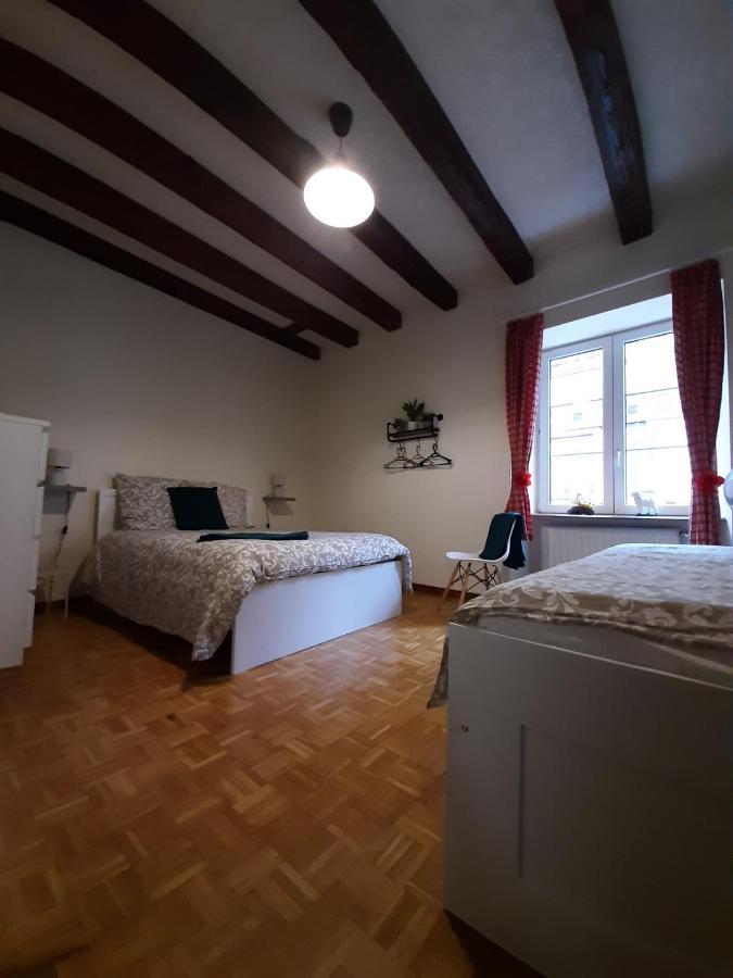 N¨°1 Schongauer Gite De Charme Centre Touristique 科尔马 外观 照片