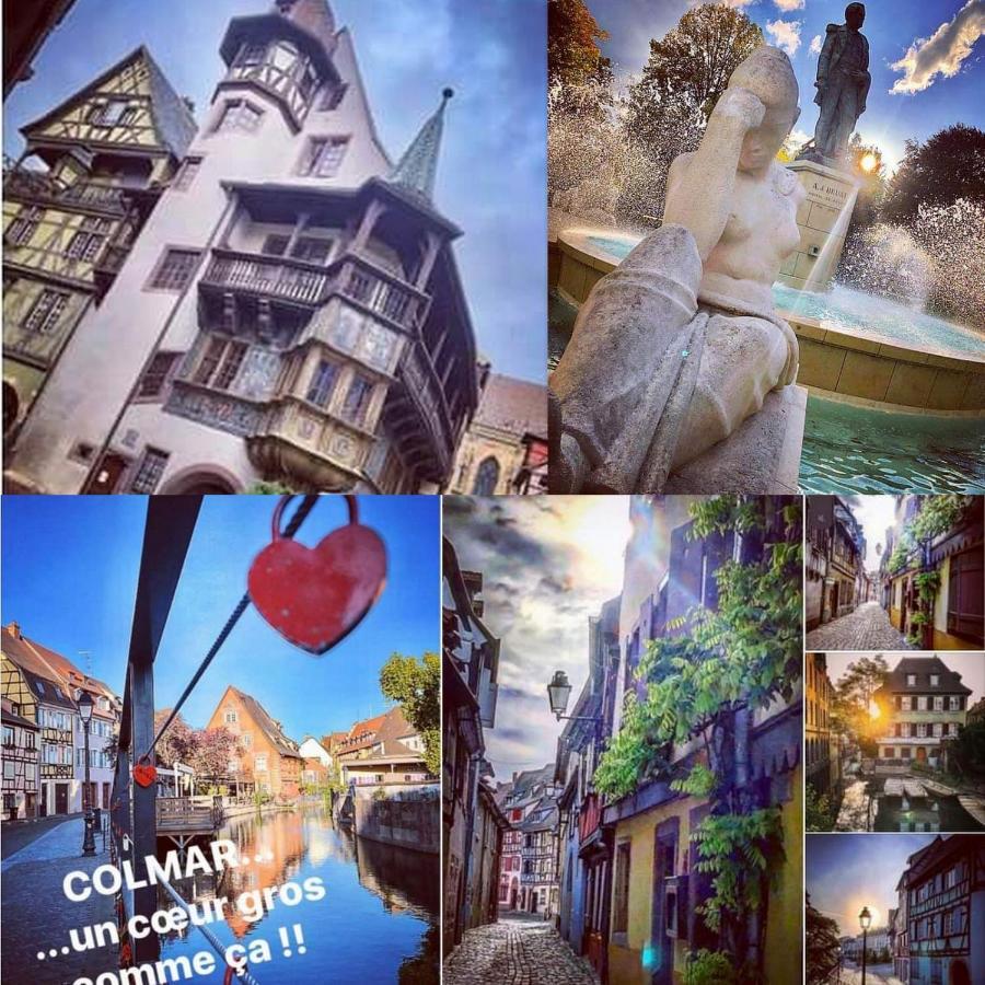 N¨°1 Schongauer Gite De Charme Centre Touristique 科尔马 外观 照片