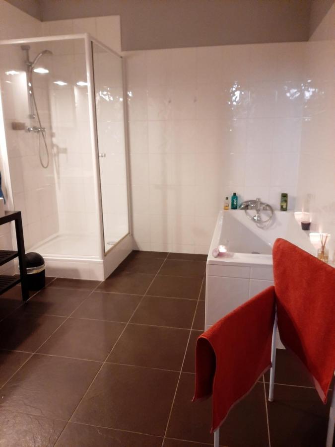 N¨°1 Schongauer Gite De Charme Centre Touristique 科尔马 外观 照片