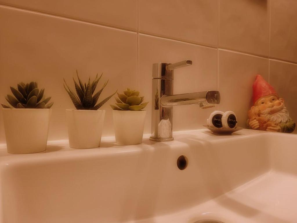 N¨°1 Schongauer Gite De Charme Centre Touristique 科尔马 外观 照片